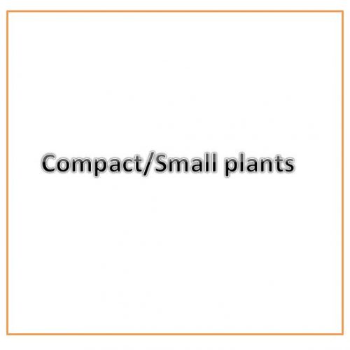 Compact/Small growing plants